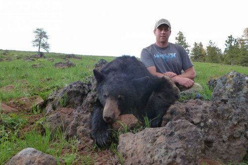 Bear Hunt May 2014 027 - Copy (1024x683).jpg