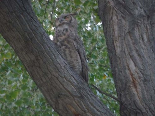 2012 Hunting trip 007.jpg