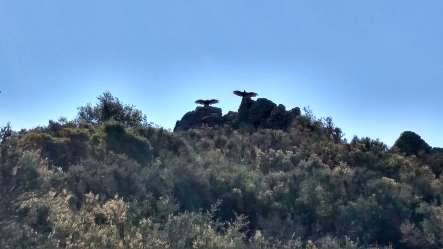 1687048716746_0_IMG_20160612_090716760_HDR.jpg 1687048716746_0_IMG_20160612_090716760_HDR.jpg