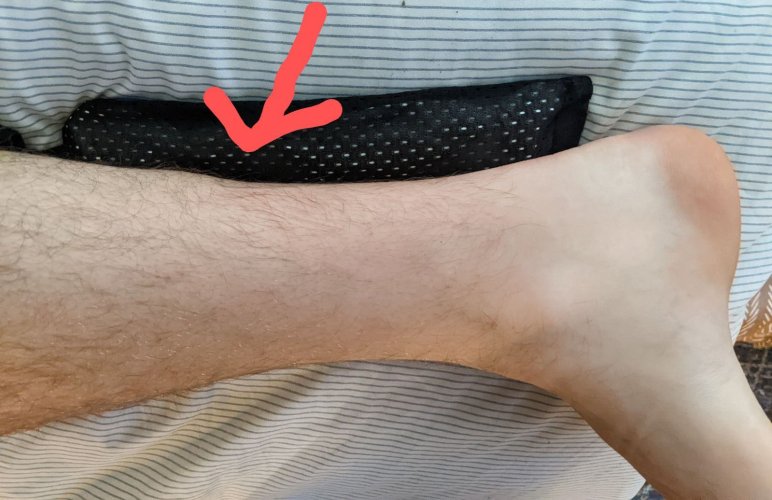 IMG_20230617_192831.jpg IMG_20230617_192831.jpg