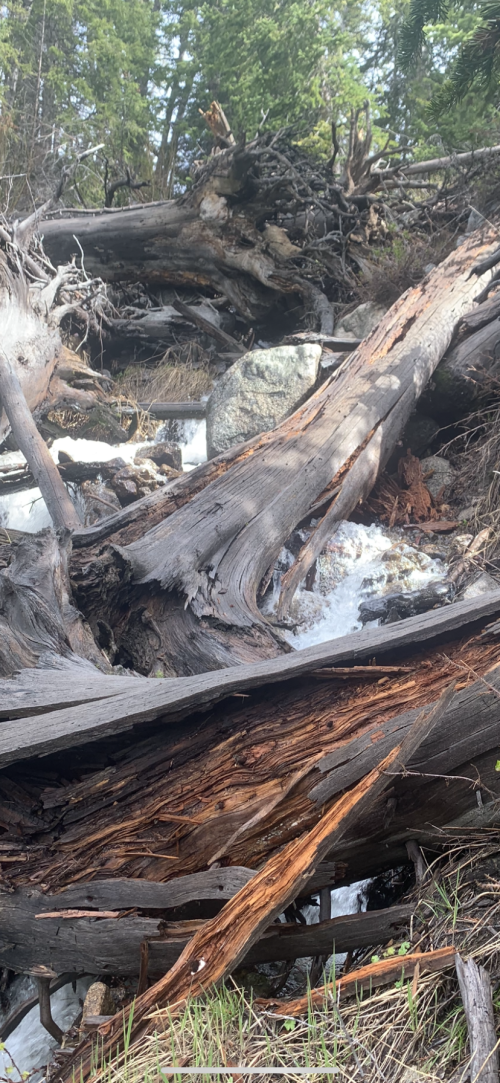 9288DDC1-858E-49E9-B463-DDE22219A2A4.png 9288DDC1-858E-49E9-B463-DDE22219A2A4.png