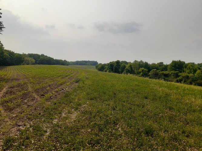 20230614_162831.jpg 20230614_162831.jpg