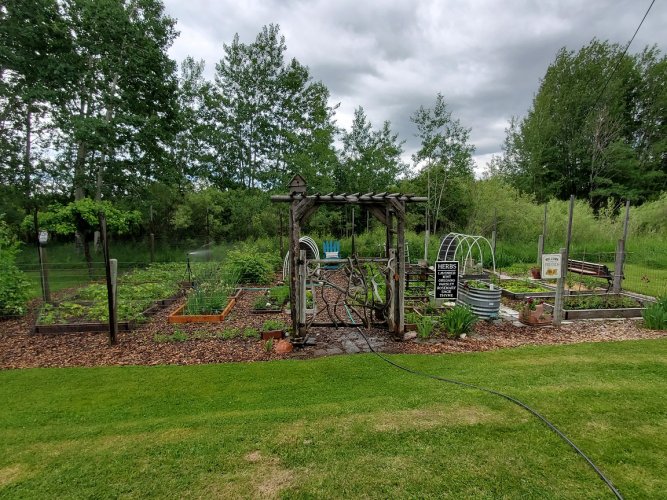 Garden gate.jpg