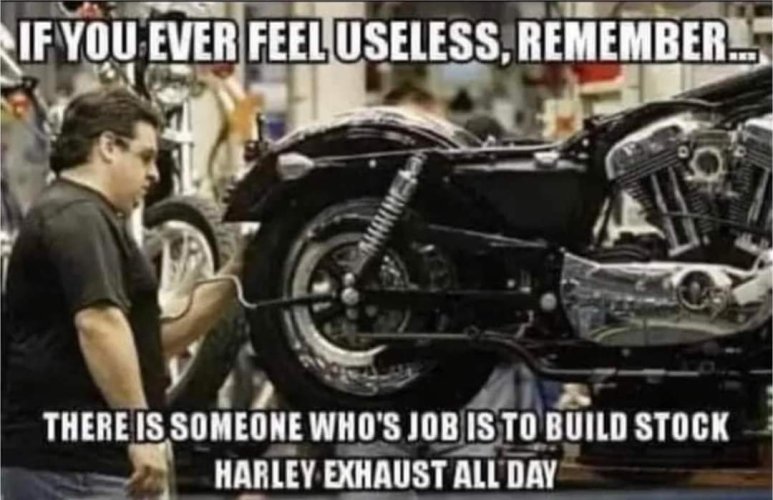FB_IMG_1687701213826.jpg