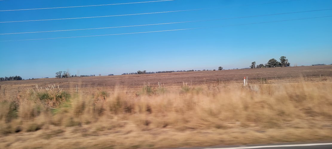 20230615_134226.jpg 20230615_134226.jpg
