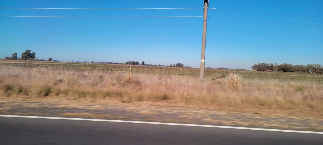20230615_134248.jpg 20230615_134248.jpg