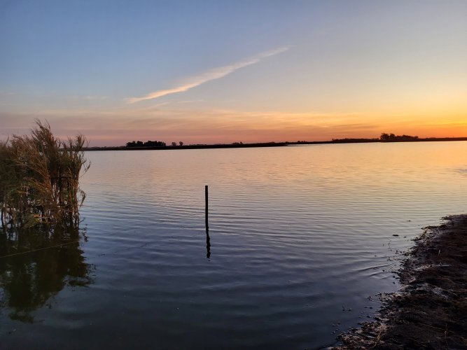 20230615_175454.jpg 20230615_175454.jpg