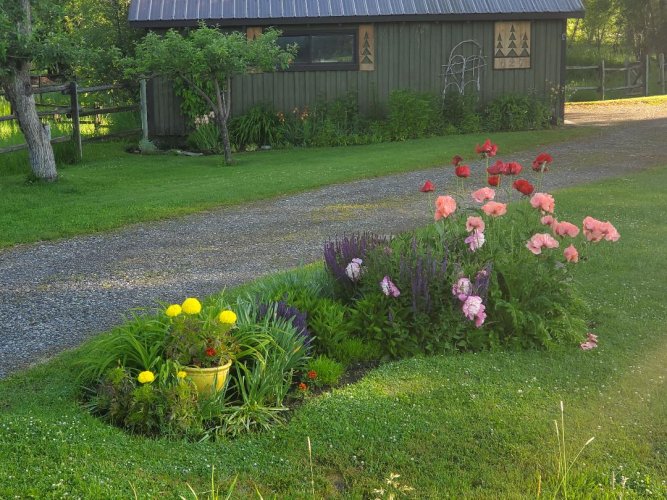 Driveway flowery display.jpg Driveway flowery display.jpg