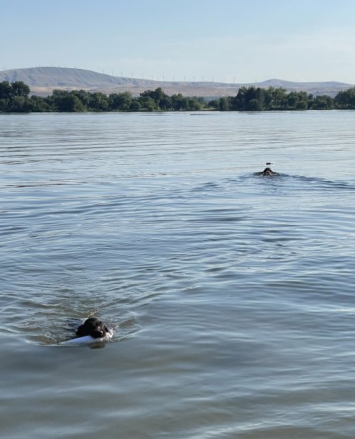 waterfetch.jpg