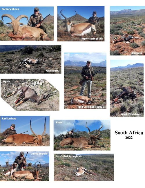 Africa animals 2022.jpg Africa animals 2022.jpg