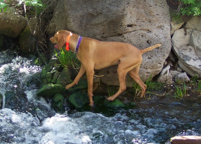 FRED WADING 7 17.jpg FRED WADING 7 17.jpg