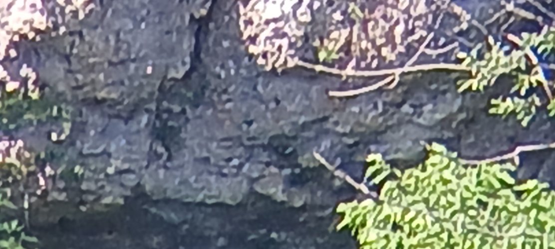 20230703_110757.jpg