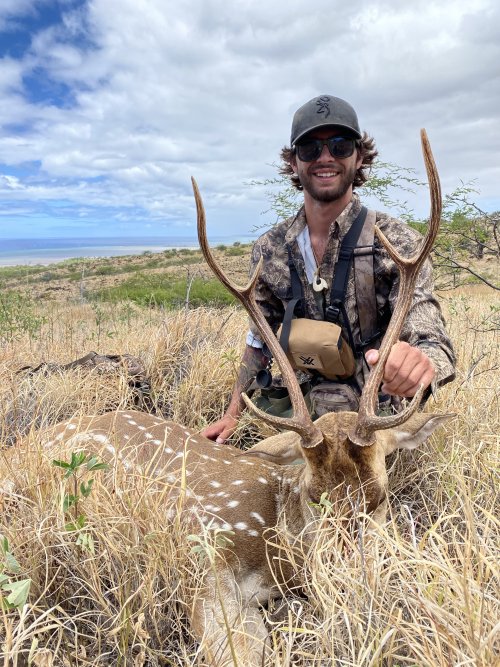 Hawaii hunting Axis deer.... | Hunt Talk