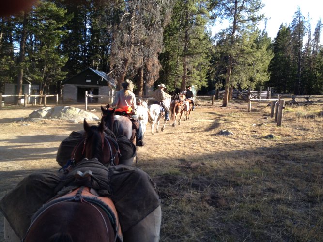 Martin pack train_2015 028.JPG Martin pack train_2015 028.JPG