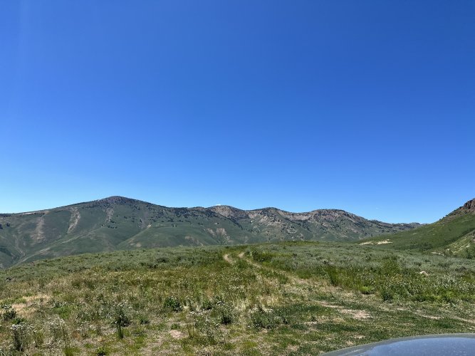 71106152672__3831C035-6637-4E55-AD04-33BF427BF590.jpeg