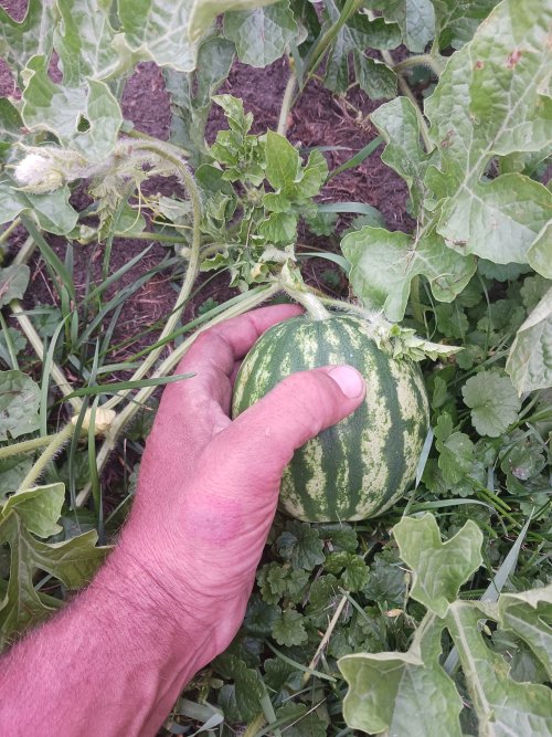 20230719_191509.jpg