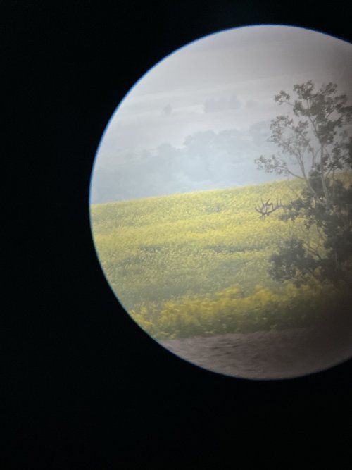 IMG_0951.jpeg IMG_0951.jpeg