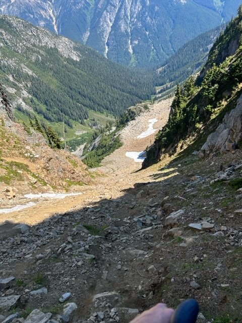 IMG_8462.jpeg IMG_8462.jpeg