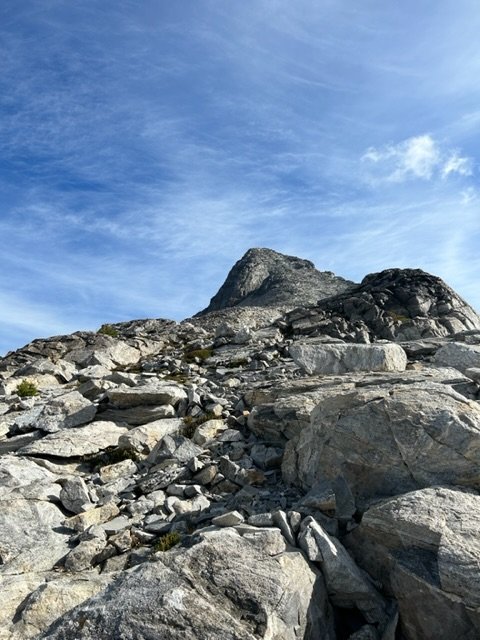 IMG_8448.jpeg IMG_8448.jpeg