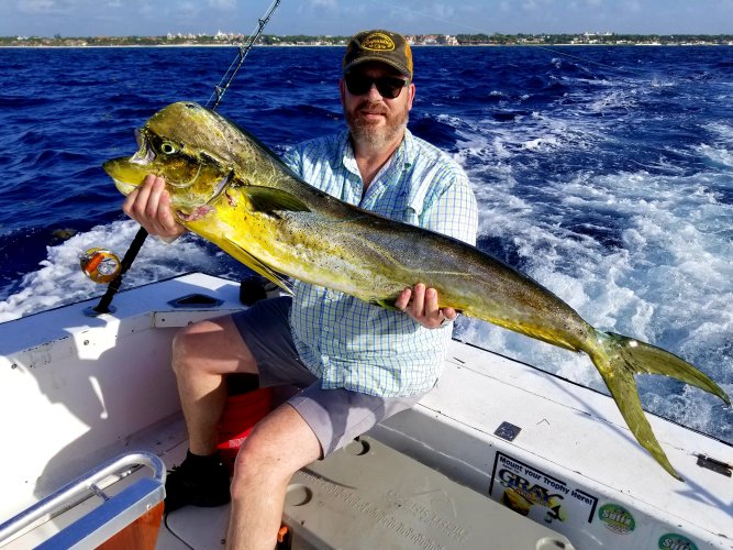 20190619_220427.jpg 20190619_220427.jpg