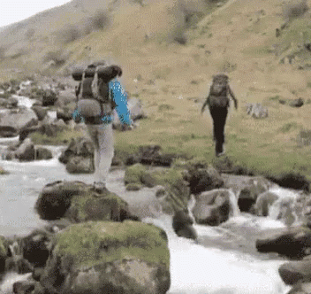 tmp.gif tmp.gif
