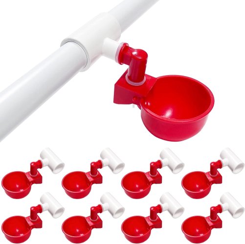 chicken water cups.jpg