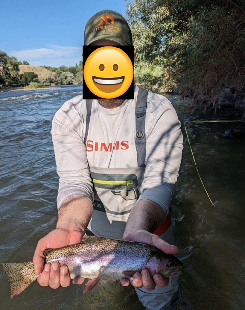 1691078586602.png 1691078586602.png