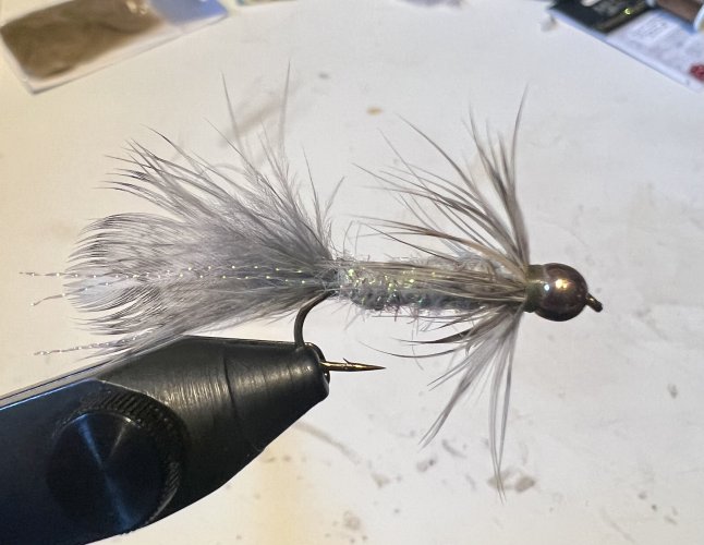 IMG_5916.jpeg IMG_5916.jpeg