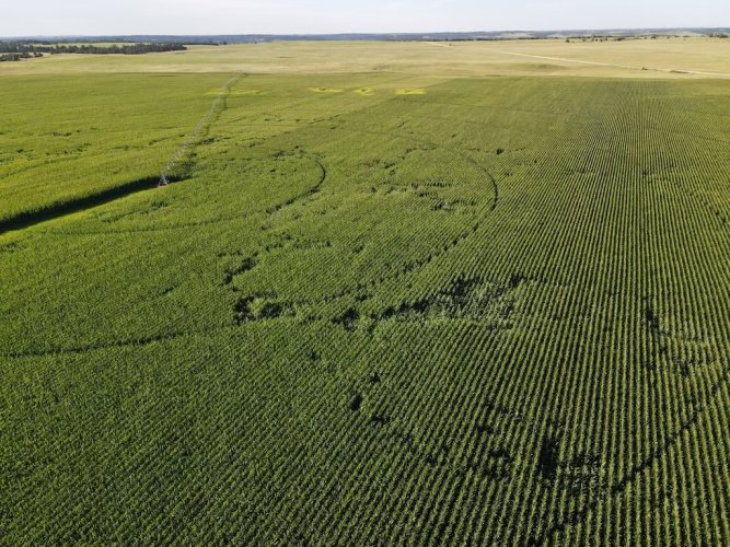dji_fly_20230727_190344_698_1690502721503_photo.jpeg