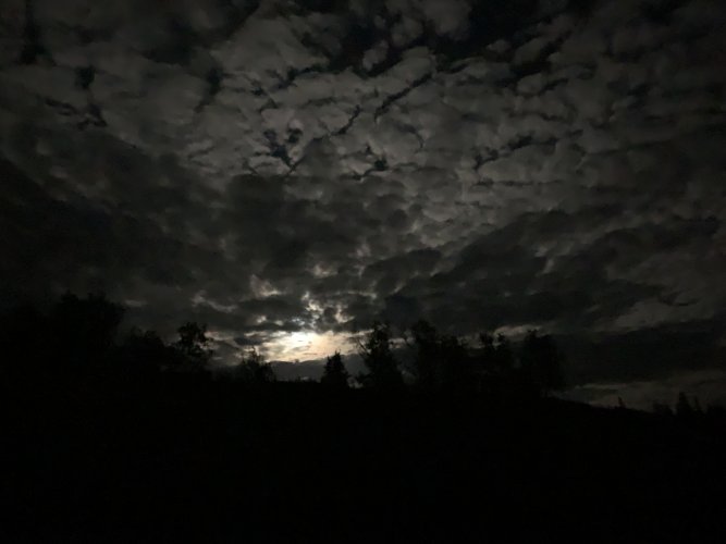 IMG_7010.jpeg