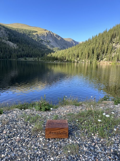 IMG_4363.jpeg IMG_4363.jpeg