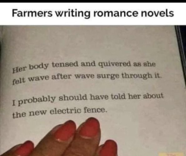 1691424357572.jpeg 1691424357572.jpeg