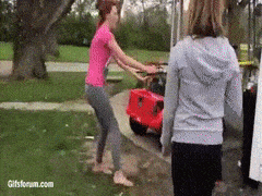 PoshIndelibleAmmonite-max-1mb.gif