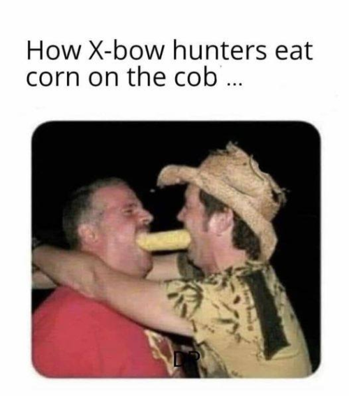 1691464252915.png 1691464252915.png