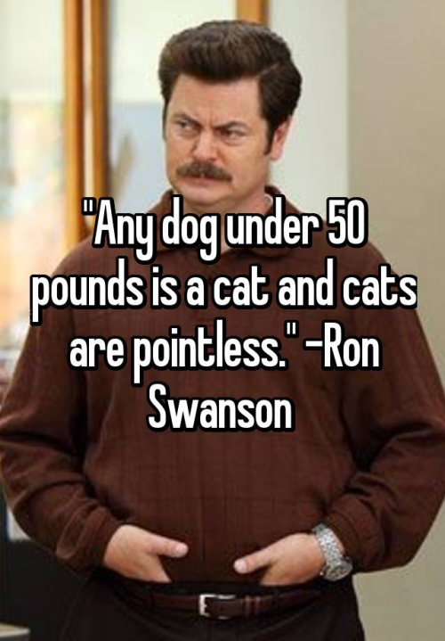 1691588791395.png 1691588791395.png