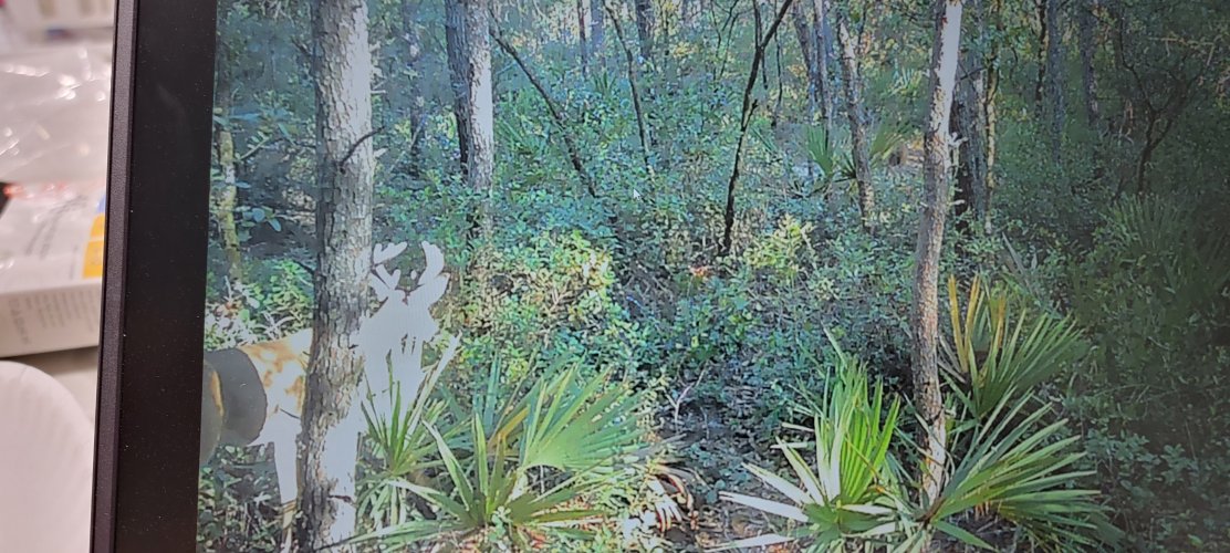 20230730_090514.jpg 20230730_090514.jpg