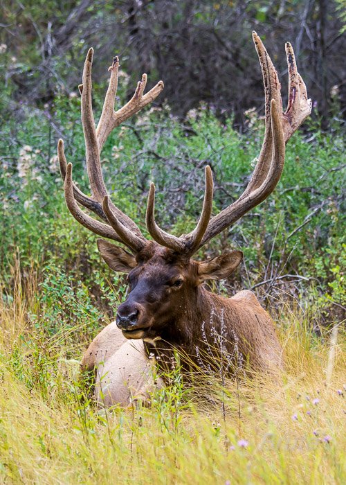 August 2019 a-2403.jpg August 2019 a-2403.jpg