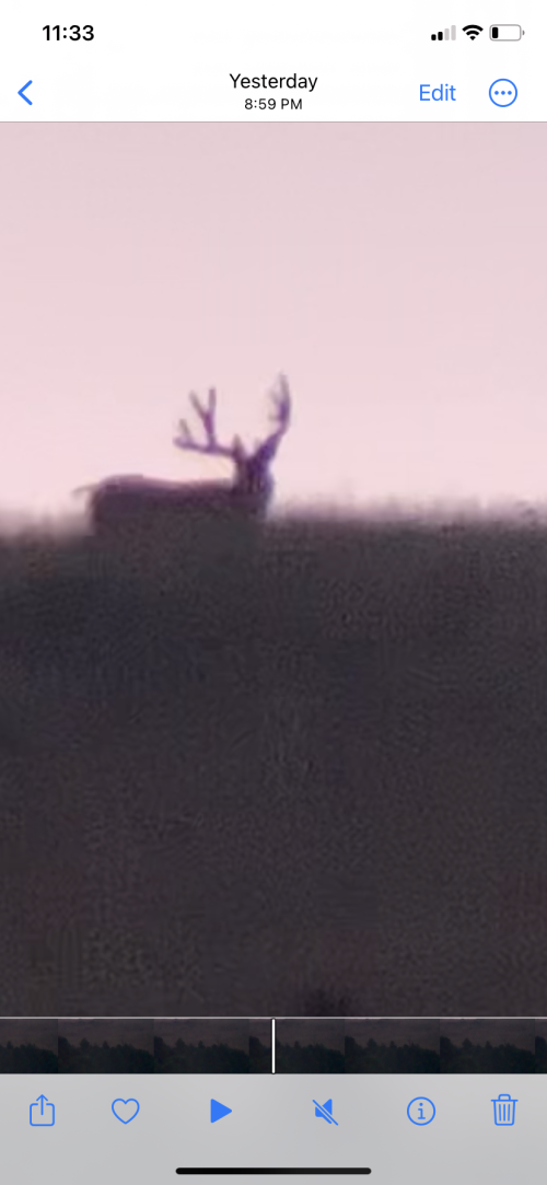 E79AEB21-A707-46F2-BA54-BB986542BE74.png E79AEB21-A707-46F2-BA54-BB986542BE74.png
