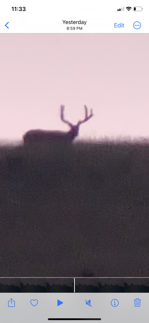 7303B733-5A6B-4BF7-8E0B-0D165B2A02A4.png 7303B733-5A6B-4BF7-8E0B-0D165B2A02A4.png