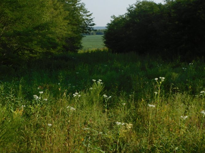 064.JPG 064.JPG