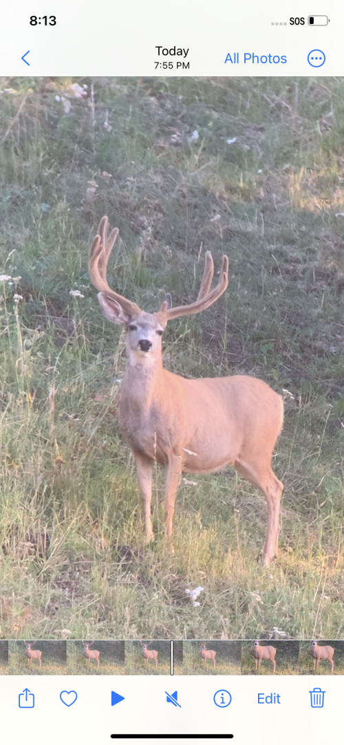 14B34370-196A-4B39-80EC-F4B7F6CAB1DF.png 14B34370-196A-4B39-80EC-F4B7F6CAB1DF.png