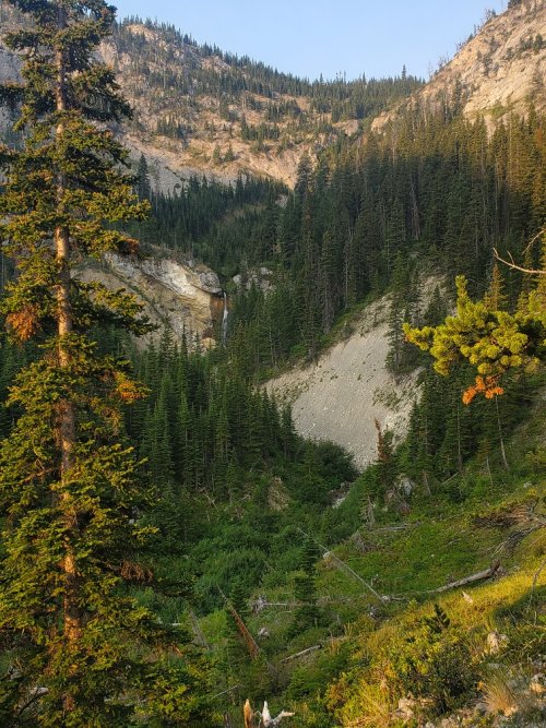 Trail up Headquarters Pass, Bob Marshall Wilderness.jpg