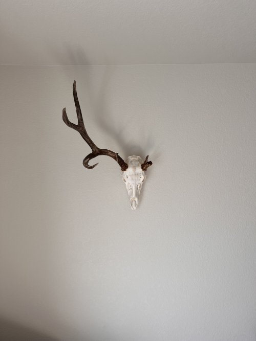 IMG-3560.jpg IMG-3560.jpg
