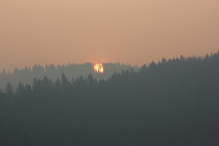 summer sun rise.JPG