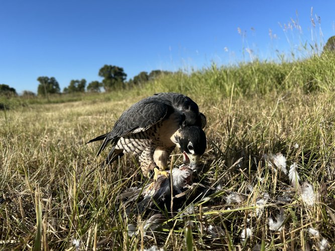 IMG-0709.jpg IMG-0709.jpg