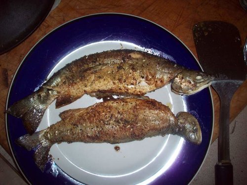 Fried fish big hole.jpg Fried fish big hole.jpg