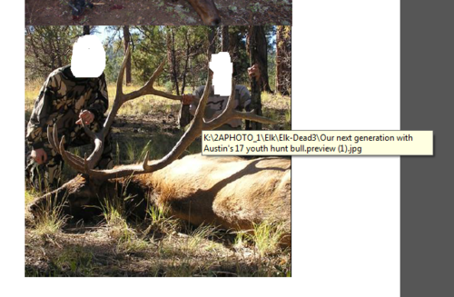 misrepresent.png