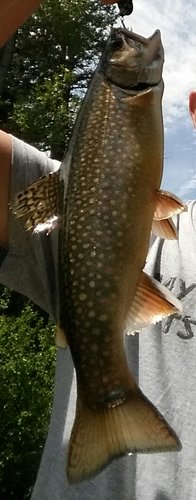 20140705_120839-1.jpg