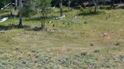 P1090730 (640x360).jpg