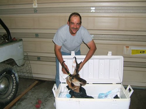 Antelope 2010.jpg